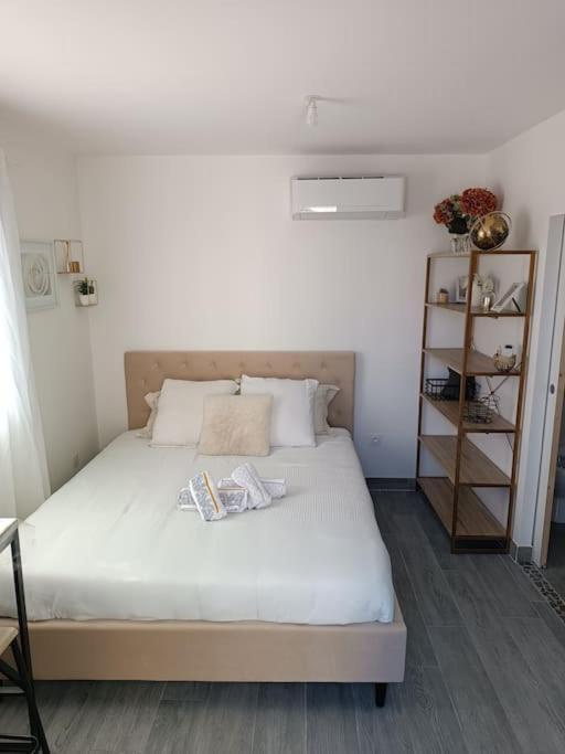 Charmant Studio Avec Piscine Villemoustaussou Exteriör bild