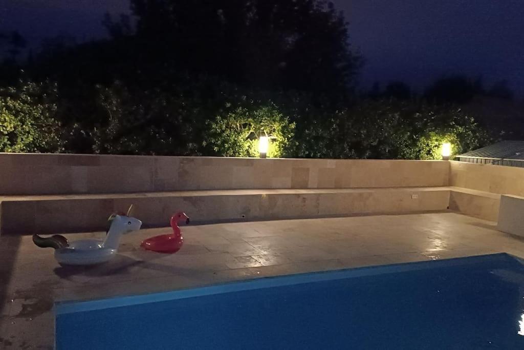 Charmant Studio Avec Piscine Villemoustaussou Exteriör bild